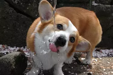 1745518635863.webp