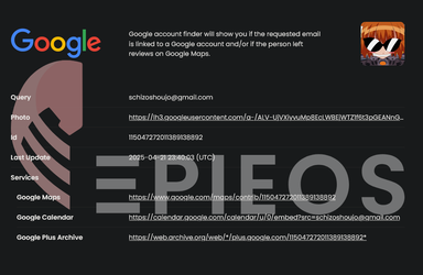 Screenshot 2025-04-24 at 15-08-34 Epieos the ultimate OSINT tool.webp