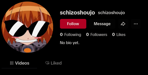 Screenshot 2025-04-24 at 15-07-56 schizoshoujo (@schizoshoujo) TikTok.webp