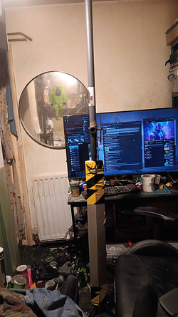 Mole room.webp
