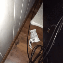 NS6RNO9.gif