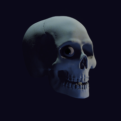 Skull.webp