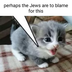 perhaps.webp