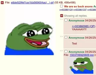 9sdfh34.webp