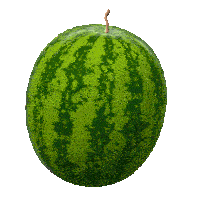 Watermelon spin.gif