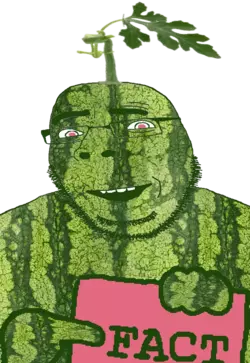 Melonfact.webp