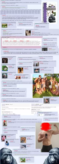 return to monkey.webp