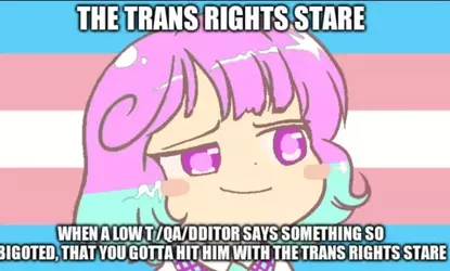 transrightsstare.webp