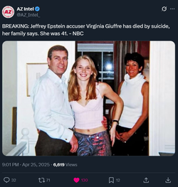 vg1.webp
