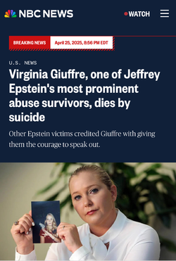 vg2.webp