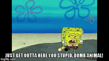 1oi0hr-2126977386.gif