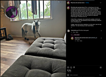 Screenshot 2025-04-26 at 02.25.29.webp