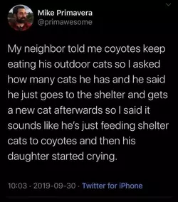 coyotes.webp