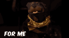 triumph-triumphinsultcomicdog.gif