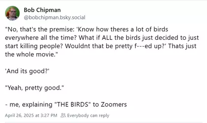 bird.webp