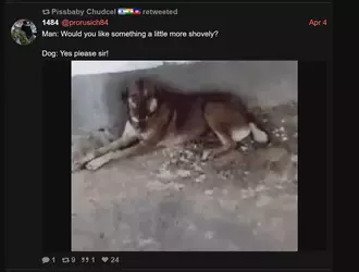zoosadist video reference.webp
