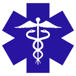 Caduceus-On-Blue-Star-Of-Life.webp