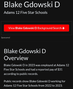 Screenshot_20250428_034635_Brave.webp