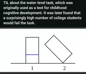 1000026176.webp 1000026176.webp