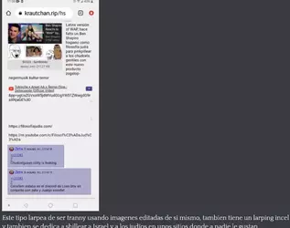 kraut2.webp