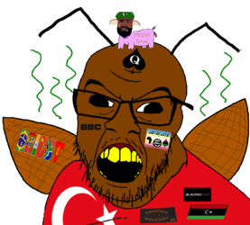 literal turk.webp