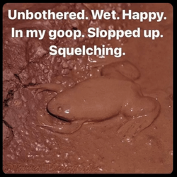squelching.webp