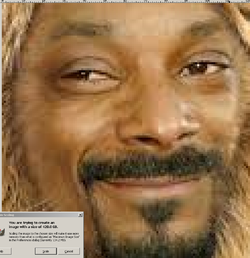 ecb.webp