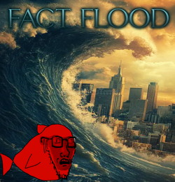 FACT FLOOD.webp