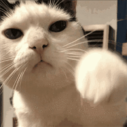 b565bd72e790101714b9a35fd490eec4.gif