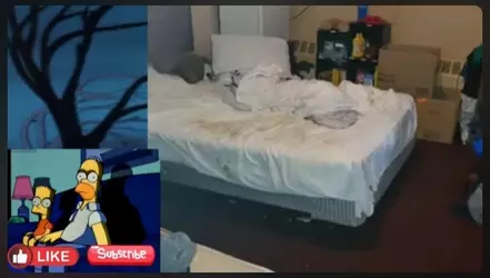 Andys bed.webp