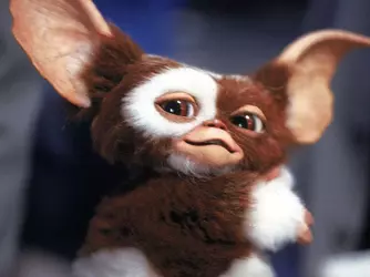 gizmo-1024-3b302ddc2f514855a8bb8332047b59a7.webp