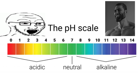 The pH scale.webp