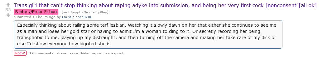 Screenshot 2025-04-30 at 07-14-34 Trans girl that can't stop thinking about raping adyke into...webp