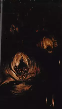 Silent Hill_コナミノベルス「サイレントヒル」 The Novel illustration#6.webp