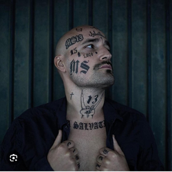 some-actual-ms-13-tattoos-in-contrast-to-kilmar-abrego-v0-riakb44nutve1.webp