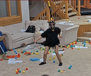 binx xavier.webp