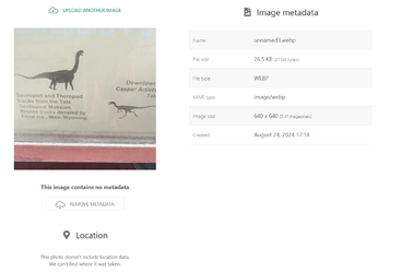 tracks2.webp