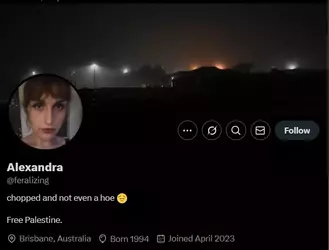 Screenshot 2025-04-30 223034.webp