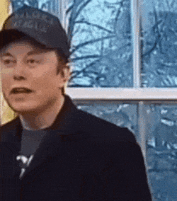 elon-musk-nod-cap-white-house-elon.gif