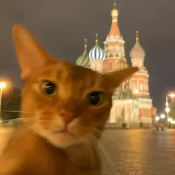 Meowscow.webp