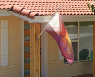 Trans Rights.webp