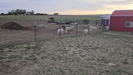 vlcsnap-2025-05-01-11h13m10s506.webp