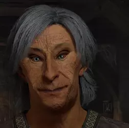 npc.webp