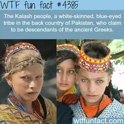 fun-facts-the-kalash-people-wtf-fun-facts.webp