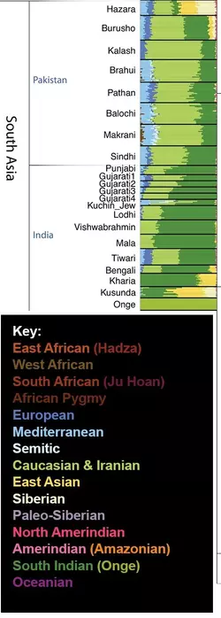 Pakistan and India - K=19 Genetic Clustering.webp Pakistan and India - K=19 Genetic Clustering.webp