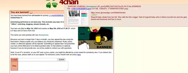 1746135144692.webp