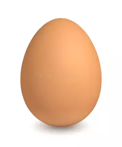 1746136946686.webp
