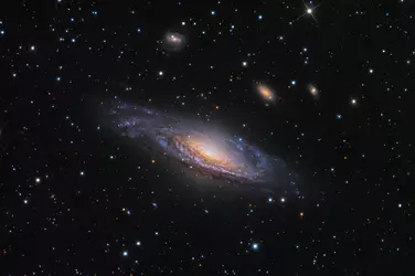 Caldwell30.webp