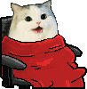 comfykot2.gif