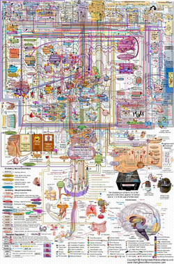 1734213103078e-1.webp